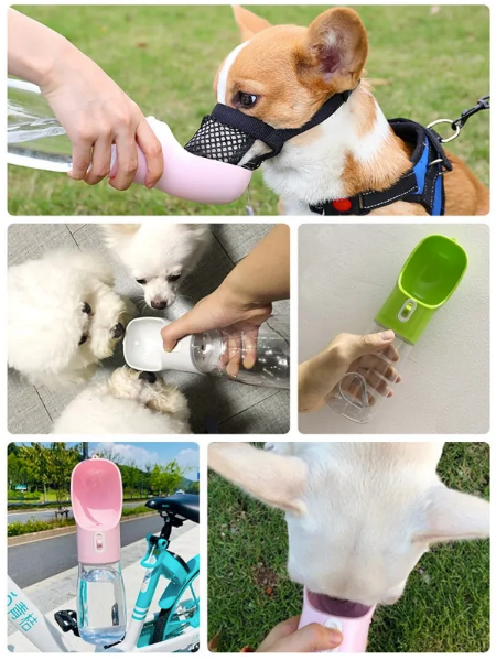 Hunde-Trinkflasche mit Futternapf
