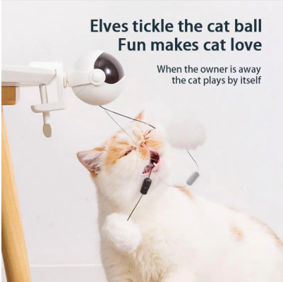 Katzenspielzeug mit automatischer Hebefunktion