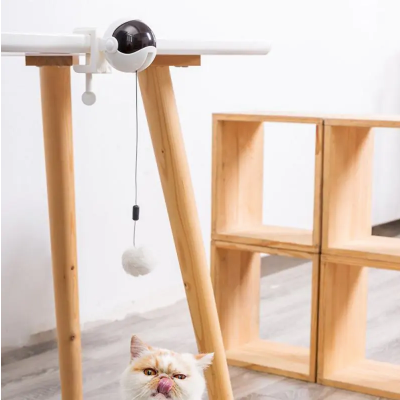 Katzenspielzeug mit automatischer Hebefunktion